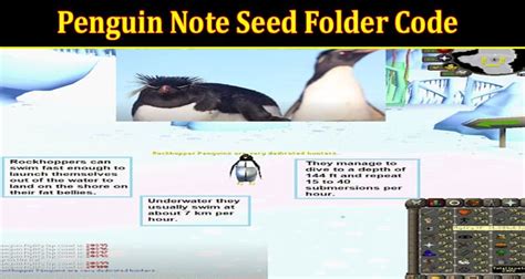 penguin note seed folder meaning.